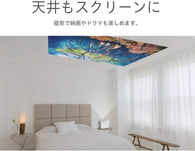 寝室で視聴するなら「天井投影タイプ」