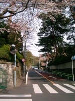 住む場所は環境も大事