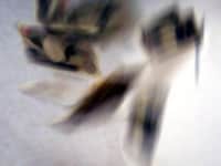 変動金利は本当に危険なのか？