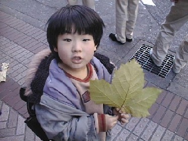 妊娠・出産の合併症は保険適用