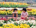 個人立幼稚園の相続　土地は非課税？
