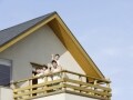 住宅ローンのコスト！保証料と団信保険料