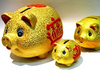 １年の総決算！２人の貯金は多い？少ない？