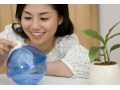 個人向け国債とは？定期預金とどう違う？