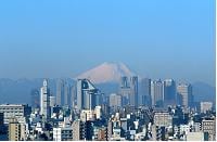 知っておきたい国内株式投信の基礎知識