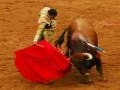 スペイン闘牛のチケット