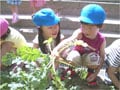 幼児期に育つ「科学する心」～7つの視点