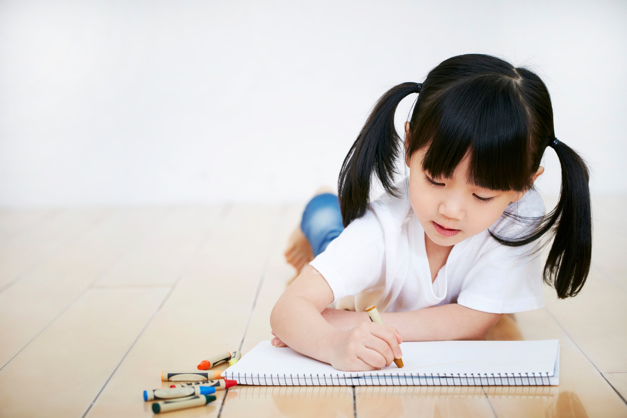 子どもの絵の発達―人類の発達やプリミティーブ・アートとかかわって