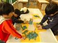 幼稚園と保育園、どっちがいい？
