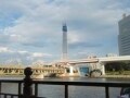 我が家からスカイツリーは、結構多いかも