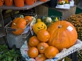 知ってる？ハロウィーンって何月何日？