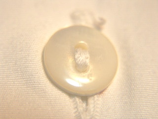 ２つ穴の白蝶貝ボタン