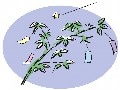 速報！ドラマ情報 2004年 7月号