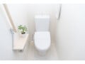 便座の外し方は？ 温水洗浄トイレを徹底的に掃除する方法