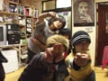 韓国家族の肖像『ショッキングファミリー』