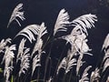 話題の台湾ドラマ『求婚事務所』