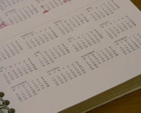 1月の新！海外ドラマ＆正月特番・目玉番組