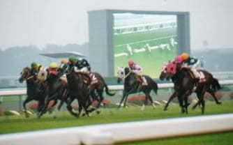 ３連複・馬連単の対策（改稿）