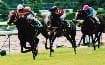 競馬概論その11　ちょっとイイ話　競馬場で馬券を買わぬヒトとは？