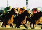 100円が一千万円・・も夢じゃない　噂の三連単馬券、その正体と対策