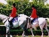 こんなこと聞いてみました　ダービーでディープを負かせる馬