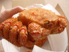 味噌たっぷり♪オホーツク産海明けの毛ガニ