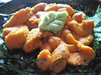 濃厚で美味！春の日高でウニ三昧