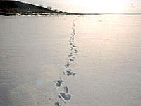 行きつけの店で人生を学べ