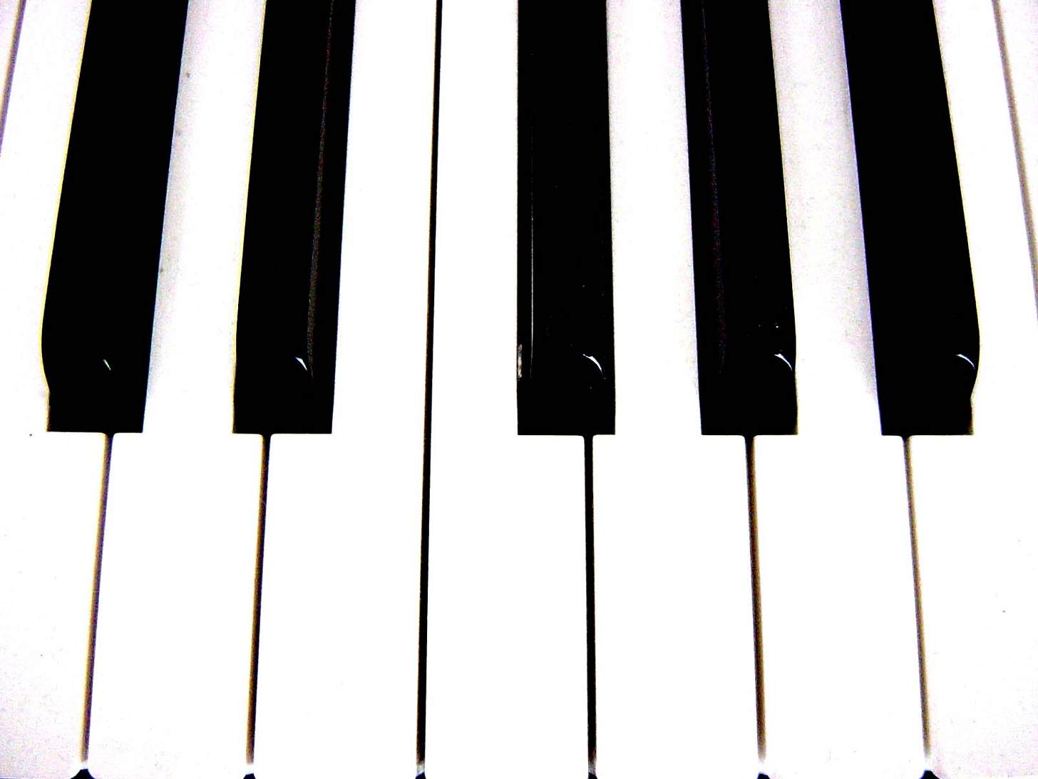 音楽に祝福された青春小説×2