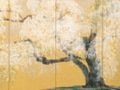無所属－中島千波（1945-）