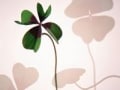 1日1分！お金が貯まる人になる魔法のつぶやき