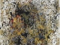 バンコクでの個展／制作の視点　portrait2－加藤正二郎