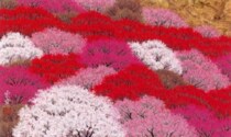 無所属－山本宏幸（1965-） [日本画] All About