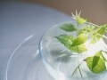 診断！誕生日でわかるあなたのマネー体質