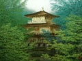 無所属－清水規（1962-）