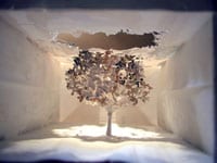 2006年7月の展覧会・イベント情報