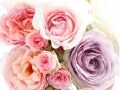 まあるい花束はホッと心を和ませてくれます。　ラウンド型の花束を飾りましょう