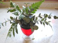 オアシスをセットしてグリーンでシルエットを作る