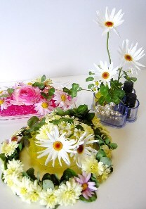 かわいい!お花畑みたい!