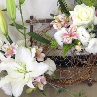 材料