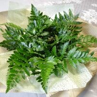 グリーンを入れる