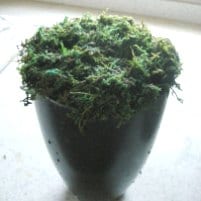 花器にオアシスをセット