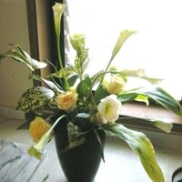 バラを入れる