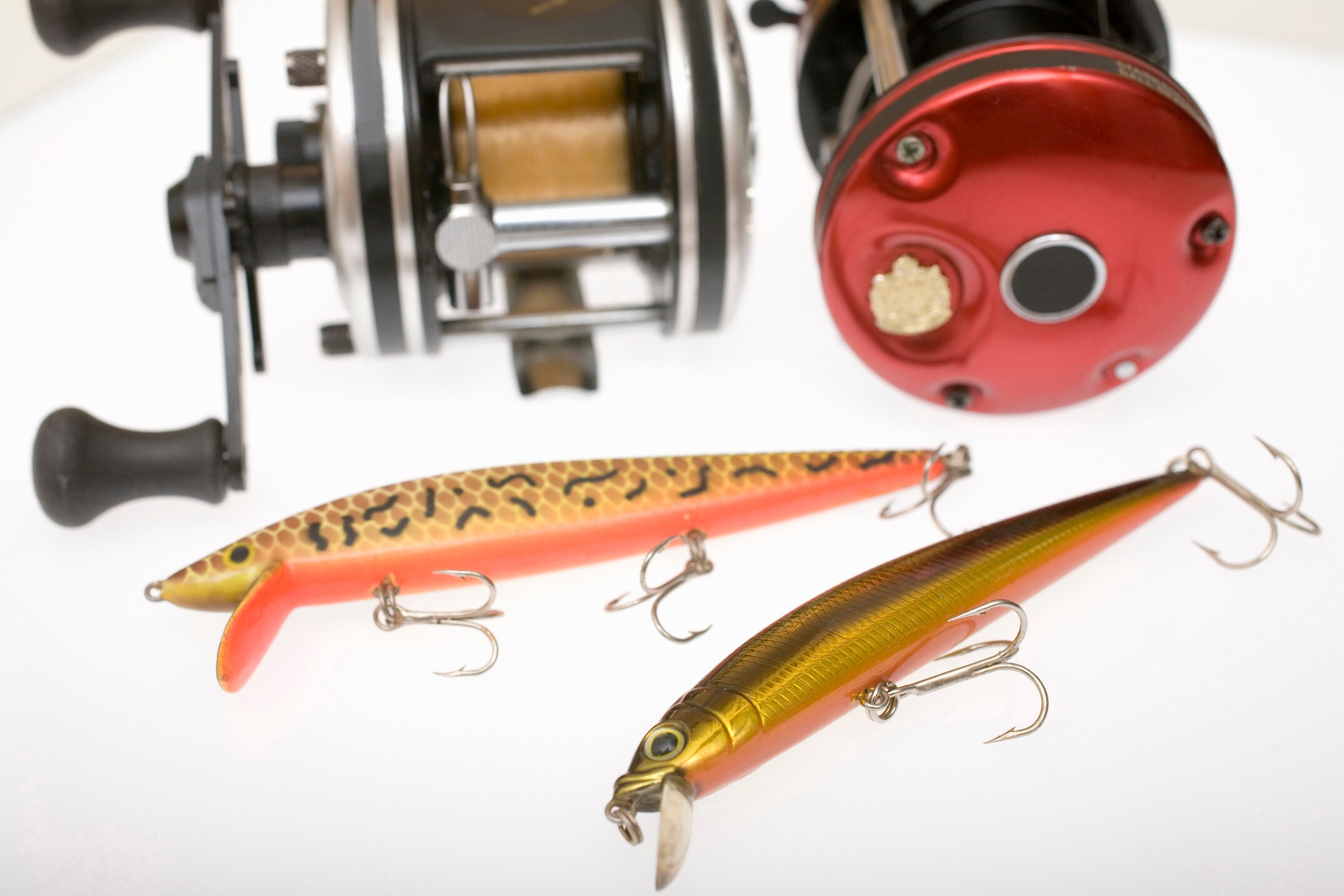 ブラックバスの生態とは？バス釣りに役立つ豆知識 [ルアーフィッシング