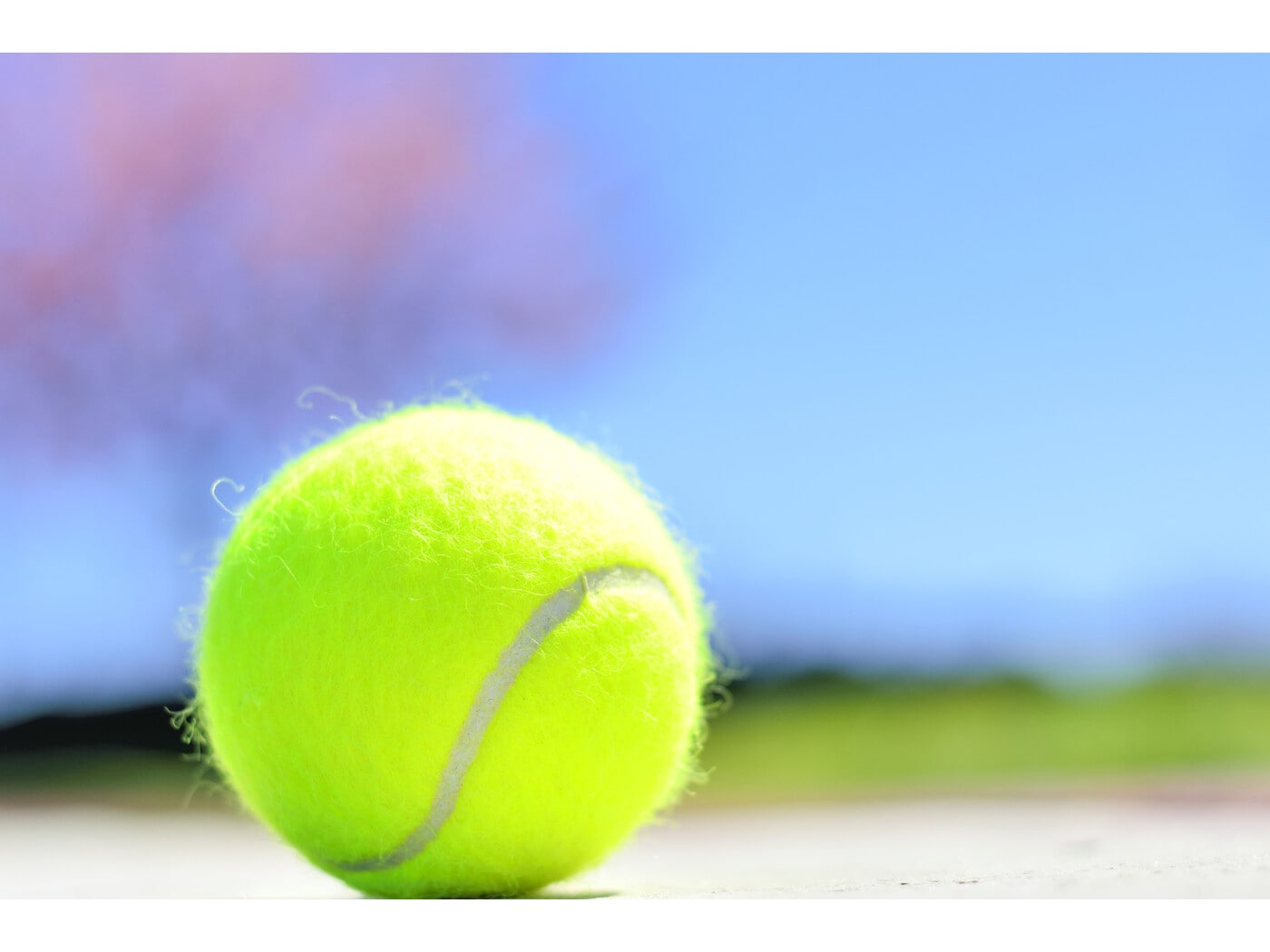 2/2 2008全仏オープンテニス 男子優勝候補分析 [テニス] All About