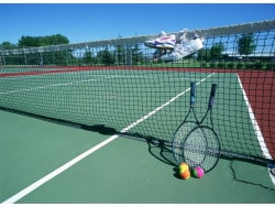 2/2 2008全仏オープンテニス 男子優勝候補分析 [テニス] All About