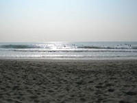 いざサーフ！波の基礎知識と海の危険性