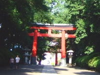 鎮守の森を求めて高円寺から永福町まで歩く