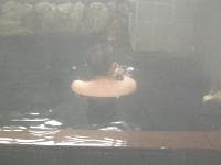 お湯に浸かり、池上本門寺へ行く池上線散歩