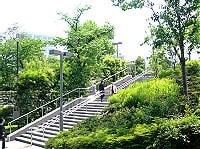 赤坂の公園を抜けて洋食を食べに行く